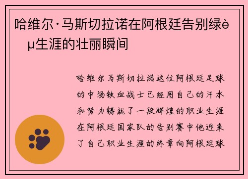 哈维尔·马斯切拉诺在阿根廷告别绿茵生涯的壮丽瞬间 哈维尔·马斯切拉诺在阿根廷告别绿茵生涯的壮丽瞬间